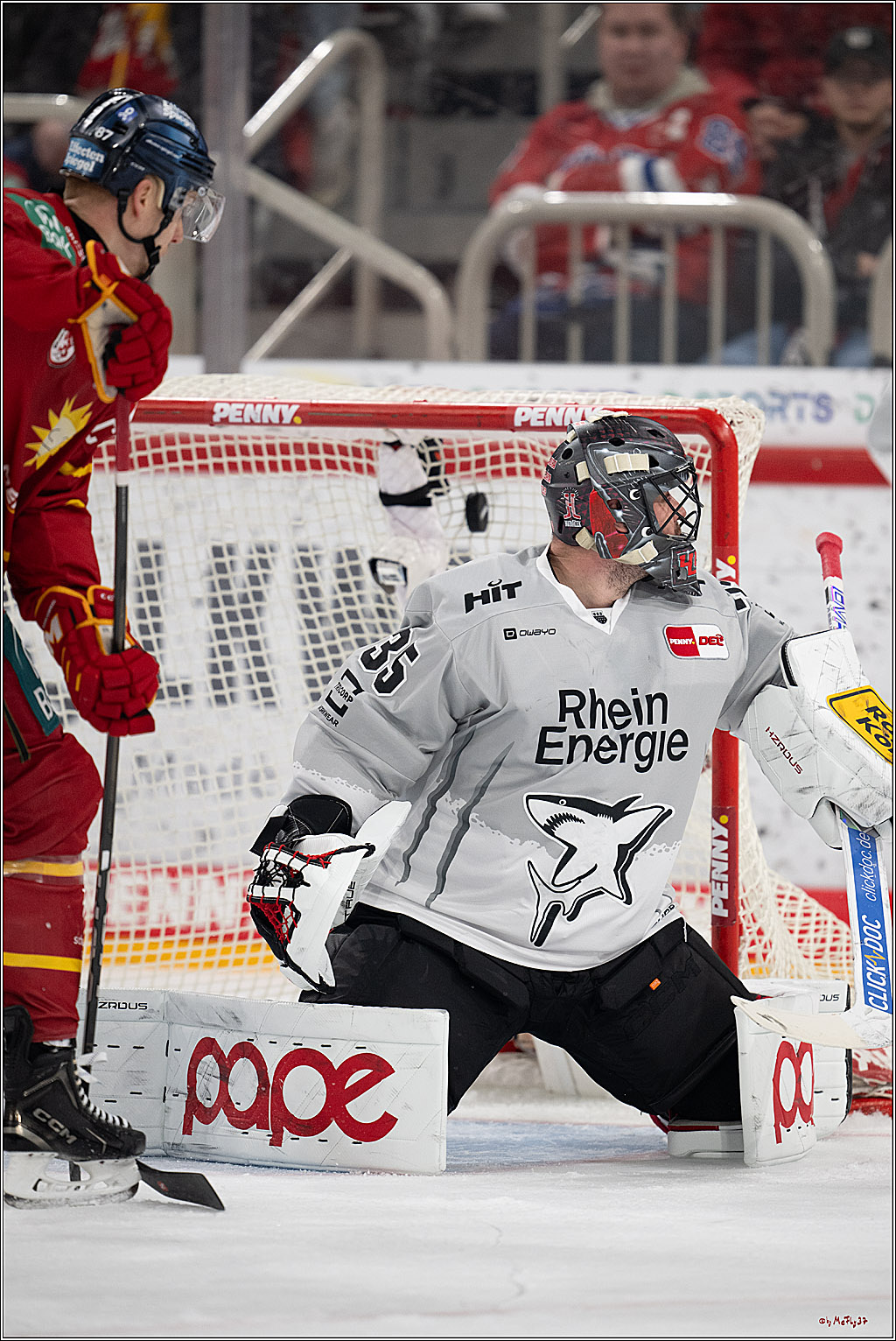 PENNY DEL 1; Düsseldorfer EG - Kölner Haie; Düsseldorf, 24.01.2025